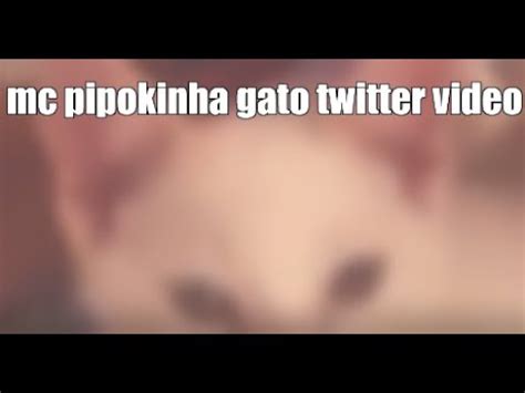 vdeo da mc pipokinha com os gatos|VAZA VÍDEO DE GATINHO LAMBENDO OS SEIOS DA MC。